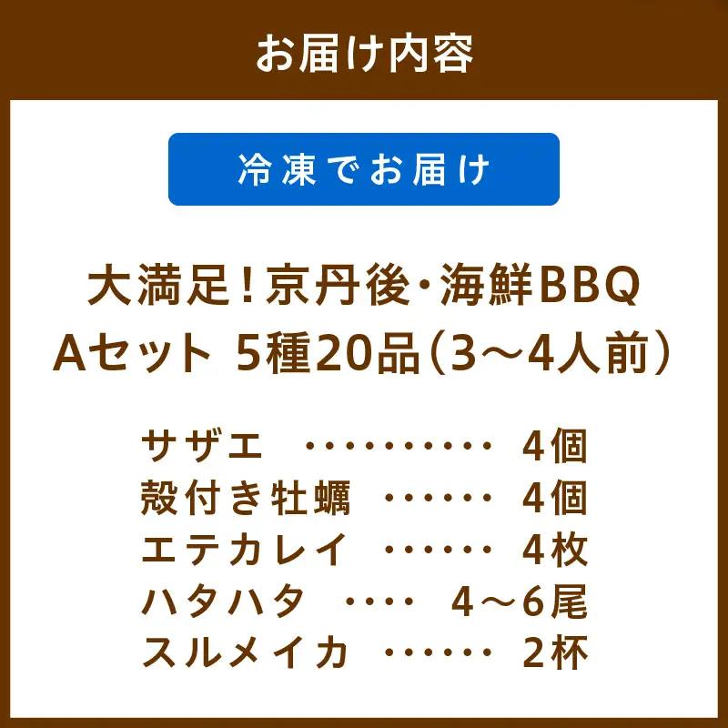 大満足！京丹後・海鮮BBQ　Aセット　5種20品（3～4人前）（2026年4月中旬～発送） 魚介類 さざえ 蠑螺 カキ かき いか バーベキュー ばーべきゅー きゃんぷ アウトドア あうとどあ 個包装