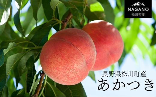 
            KM02-25A 桃 あかつき 4kg以上（12～16玉）贈答 / 2025年7月下旬〜8月上旬頃 発送予定 // 長野県 南信州 松川町 モモ 贈答 産地直送 農家直送 新鮮  もも 甘い 
          