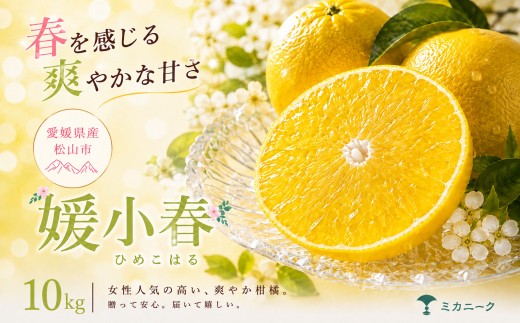 【知る人ぞ知る】 驚きの甘さ 【媛小春】 10kg 愛媛県産 【2027年1月下旬頃から順次発送】 | みかん ミカン mikan 蜜柑 訳ありフルーツ 柑橘 果物 おすすめ お勧め お取り寄せ ギフト 愛媛県 松山市