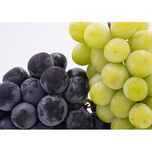 【発送月固定定期便】山梨旬の味覚定期便【桃 約2kg/2色葡萄 1kg以上】全2回【配送不可地域：離島】【4082866】