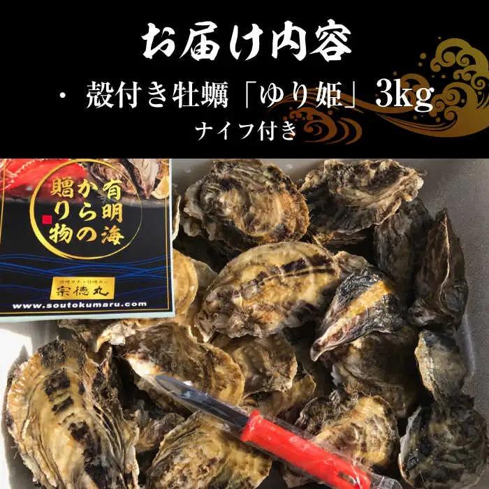 【2027年1月以降発送】竹崎産 ブランド生牡蠣「ゆり姫」3kg（ナイフ付き） / 牡蠣 / 佐賀県 / 宗徳丸 [41ATAF003]