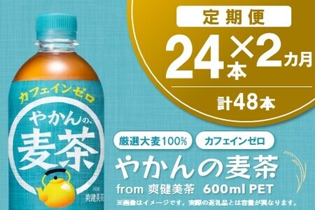 【2か月定期便】やかんの麦茶 from 爽健美茶 600mlPET(24本)【麦茶 焙煎 夏バテ予防 熱中症対策 カフェインゼロ ミネラル 600ml ペットボトル ペット 常備 備蓄 スッキリ イベント】A6-F090382