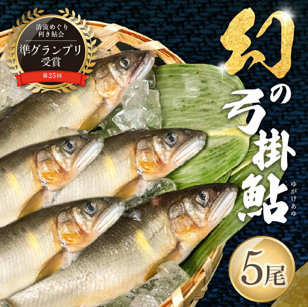 【ふるさと納税】【期間限定】（2025年8月上旬頃から発送）幻の弓掛鮎 5尾セット（総重量 300g以上）【冷凍パック】鮎 あゆ アユ ゆがけ 下呂市 金山 クラブハウス馬瀬川 20000円 22000円