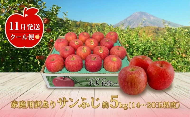 【11月発送】白熊 訳あり家庭用 サンふじ 約5kg 糖度13度 【青森りんご 果物 フルーツ 食後 デザート シャキシャキ ジューシー りんごの王様 】