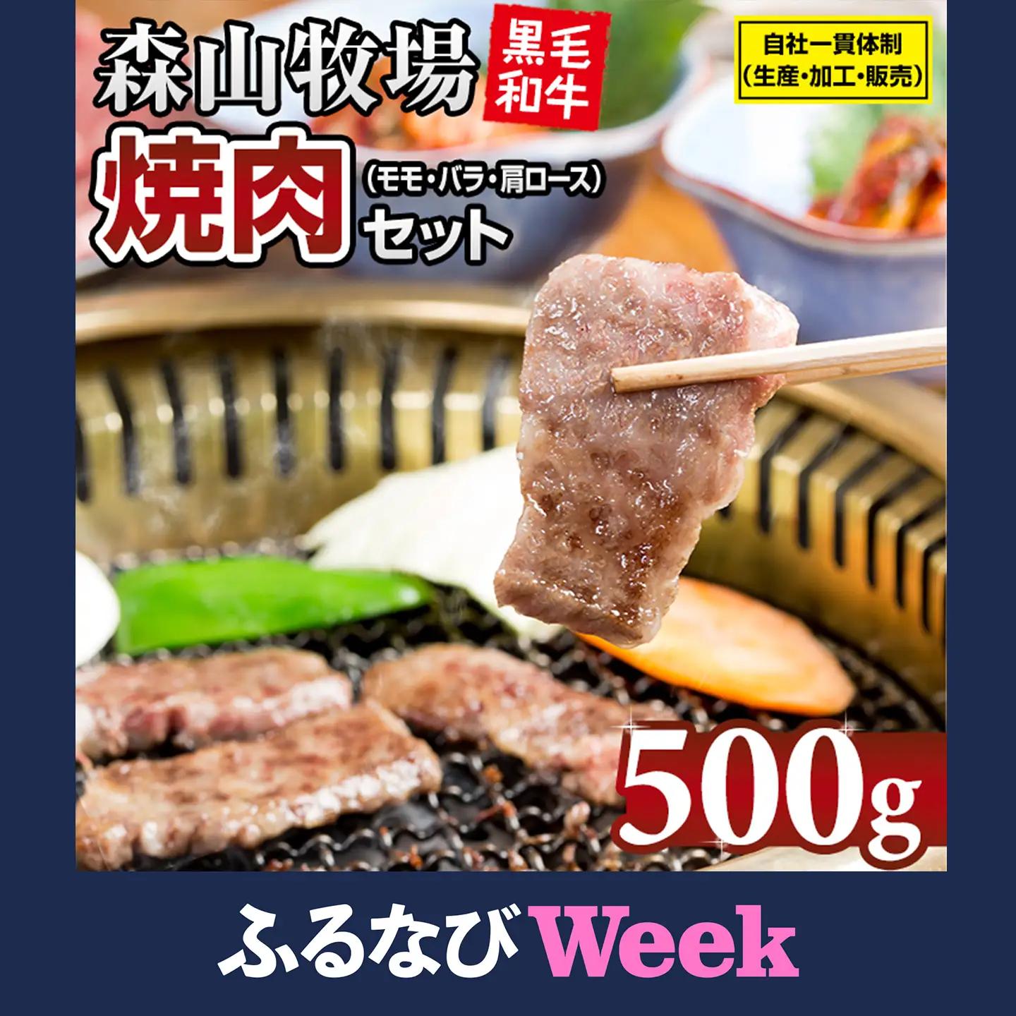【ふるなびWEEK対象】森山牧場 焼肉セット 500g 焼肉 牛肉 B125-007