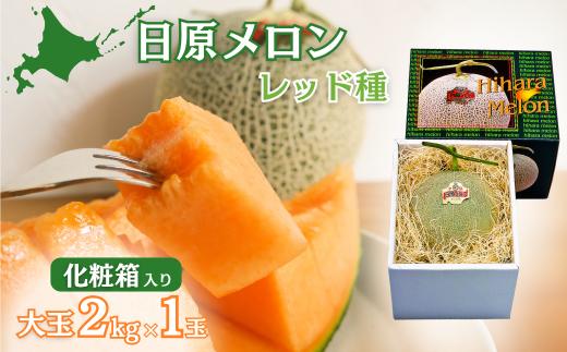 【先行予約】大玉「日原メロン（レッド種）」（ 2.0kg相当×1玉 北海道産）カラー化粧箱入り　YD019