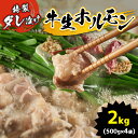 【ふるさと納税】特製ダレ漬け 牛生ホルモン 2kg ｜ ホルモン もつ鍋 鍋 焼肉 バーベキュー モツ 小腸 ホルモン 焼き 特製ダレ 味付き 名物 ソウルフード 肉 にく 牛 特性醤油 地元 地元の味 美祢市 山口県 美祢 2kg