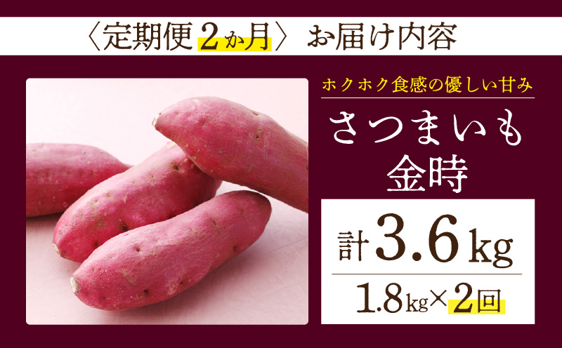 【定期便2ヶ月】さつまいも 金時 1.8kg・H126