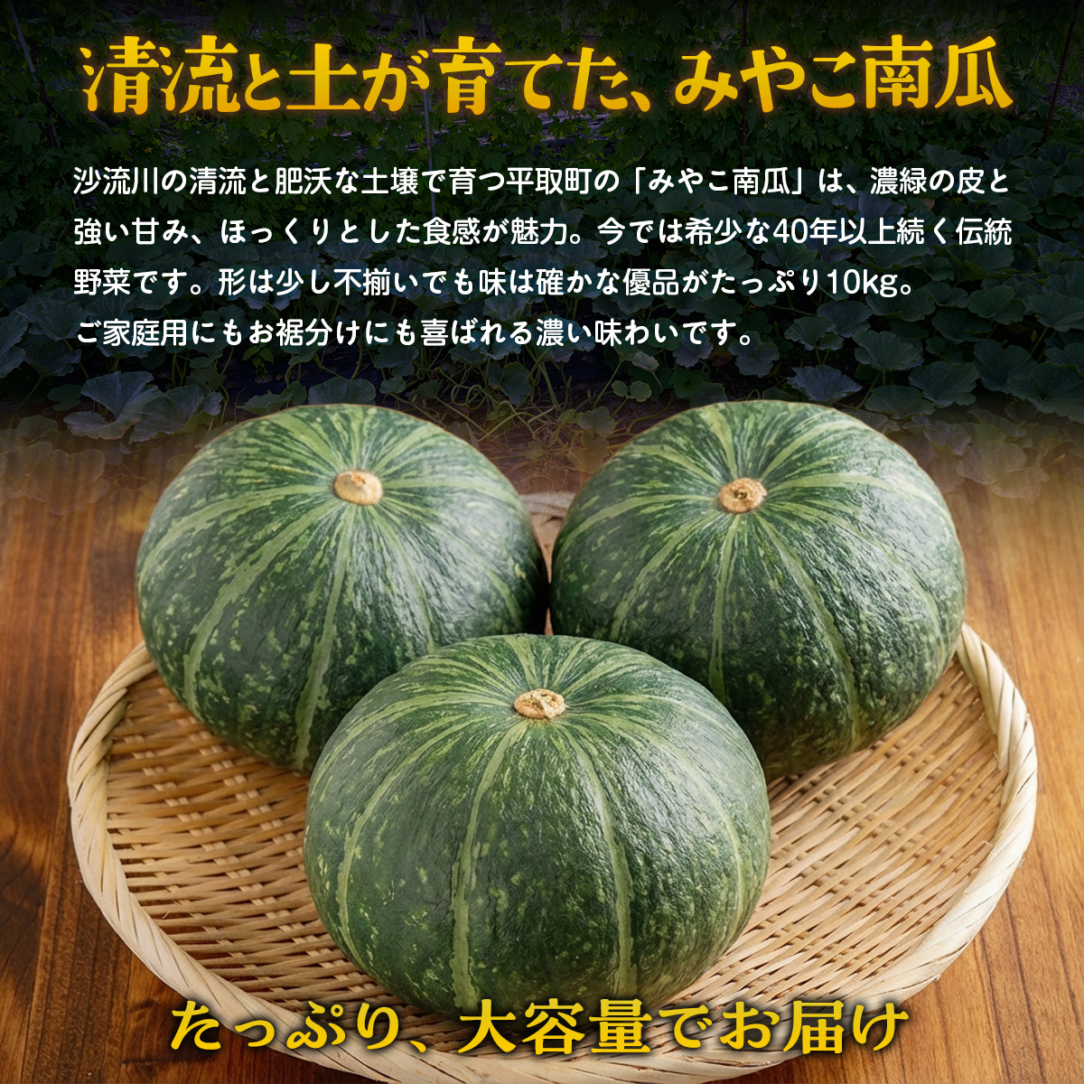 【先行予約/8月以降発送】【家庭用】【北海道平取町産】優品 みやこカボチャ１箱7玉サイズ10kg BRTO005