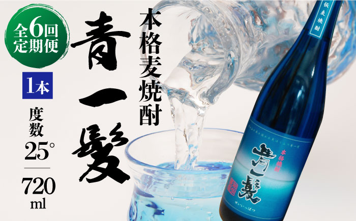 【6回定期便】本格 麦焼酎 青一髪 25° 720ml×1本 化粧箱入  / 贈答用 酒 焼酎 南島原市 / 久保酒造場 [SAY009]