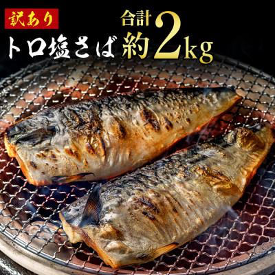 ふるさと納税 銚子市 トロ塩さば　2kg　訳あり