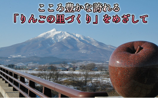 11月 贈答規格 王林約5kg（12～16個）14度糖度保証【青森りんご・ゆうきアップル・11月】 果物類 果物 フルーツ 代表品種 甘み