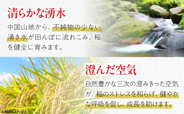 米 こしひかり 30kg 米 お米 白米 精米 こめ おこめ ごはん ストック 国産 広島県 三次産 コシヒカリ お米 30キロ