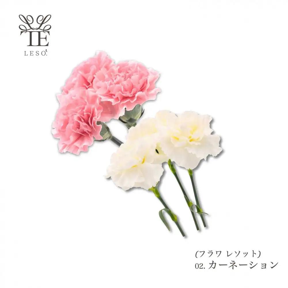 本物の花の香り リード・ディフューザー 【カーネーション】