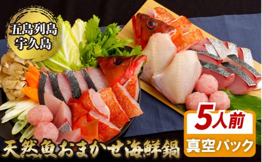 A201a  五島列島 天然魚 おまかせ 海鮮鍋 セット (約5人前)