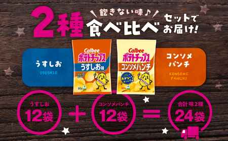 【 期間限定 特別価格 】 カルビー ポテトチップス 2種 食べ比べ セット 【 うすしお × コンソメパンチ 】 計24袋 K194-002_09 ポテチ チップス 菓子 お菓子 スナック スナック