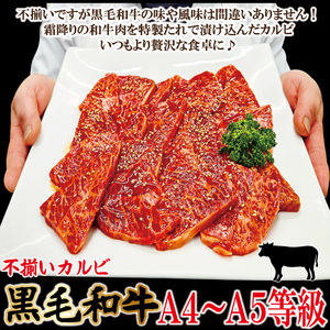 霜降り黒毛和牛 厚切り 不揃い 特製タレ漬カルビ 2kg 冷凍 小分け 焼肉  【そうざい男しゃく（株式会社池延）】【ho1595】