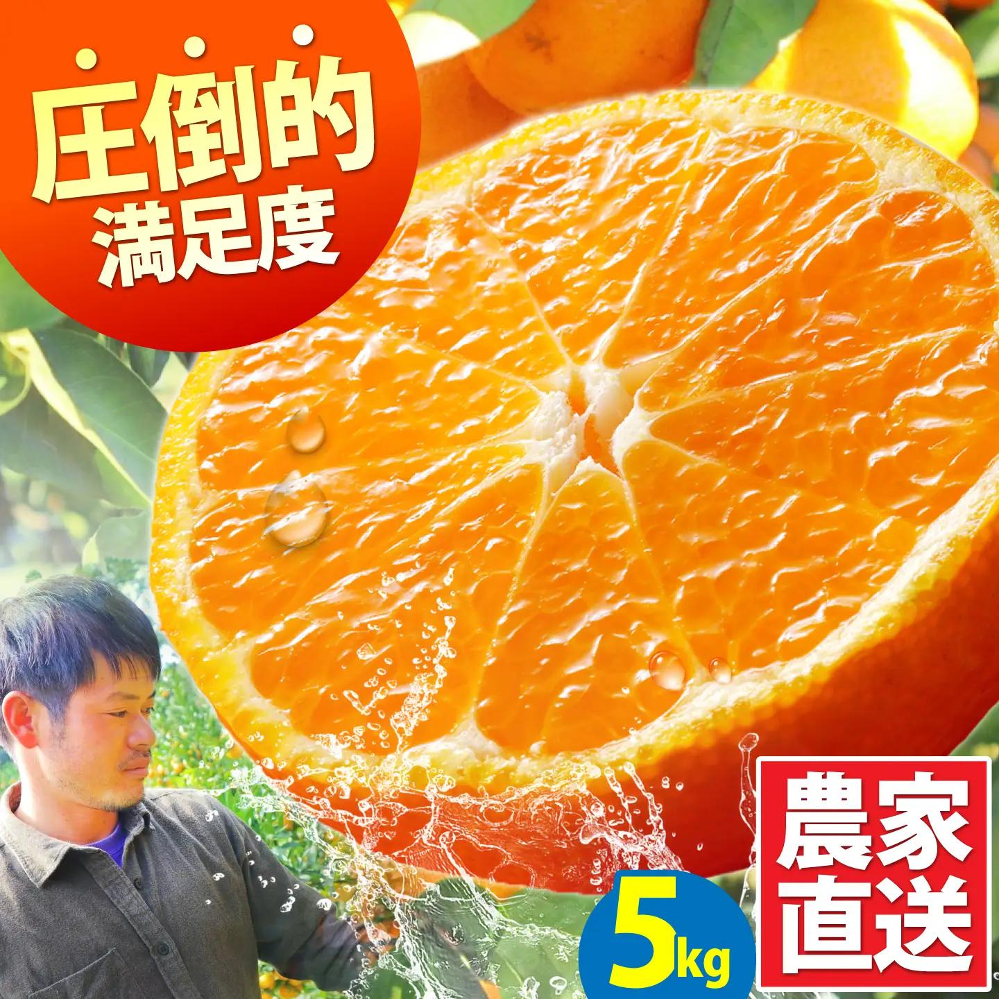 【2026年10月下旬-発送】温州みかん 5kg 南島原市 [SCQ001] みかん