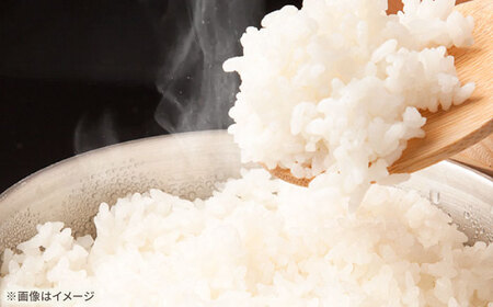 令和7年産 さがびより5kg 【直売所にじ】[IDO001]