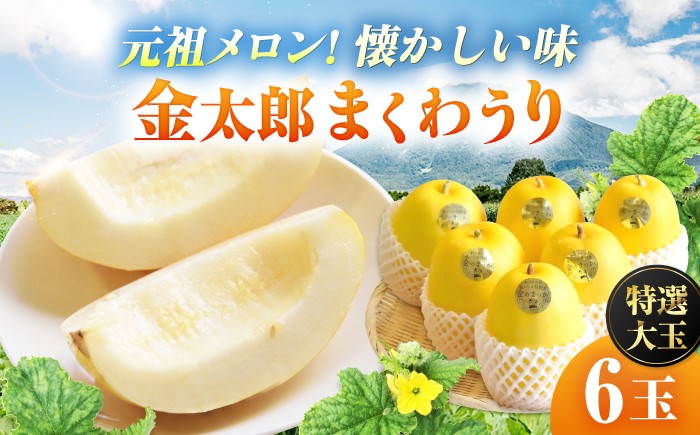 
                  【2027年7月下旬より順次発送】旬の野菜 金のまっか便（栽培期間中、農薬・化学肥料・動物性堆肥不使用）/ まくわうり セット 詰め合わせ 新鮮 野菜 旬 / 滋賀県 栗東市 / ワダケン リアルソイルハウス[BIBM005]
                