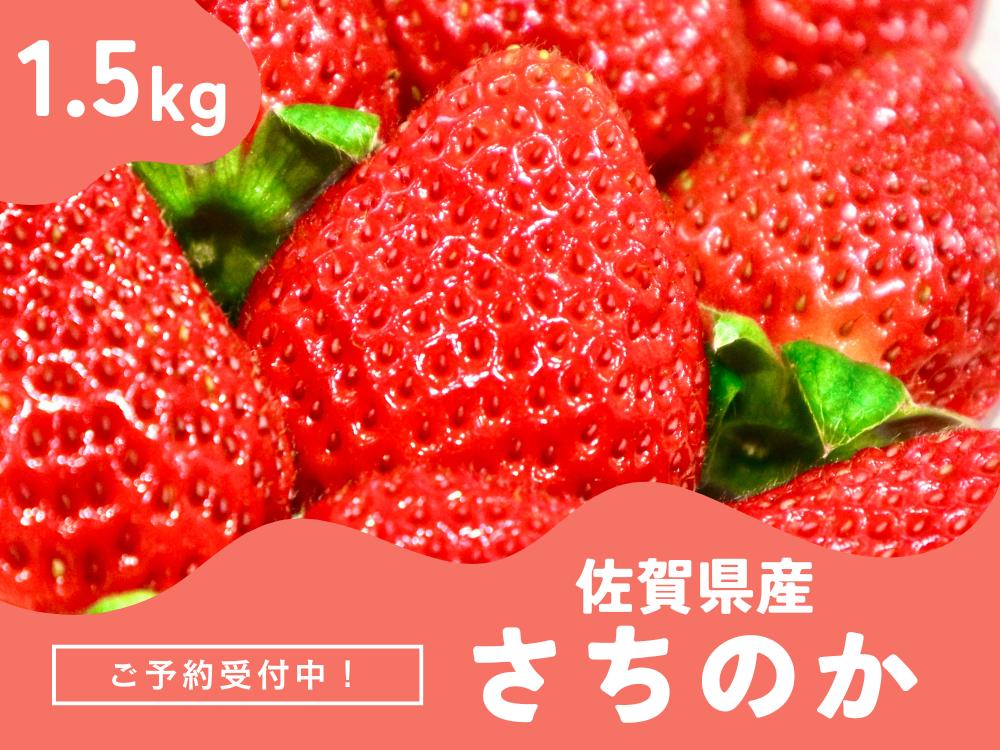 
            ＜先行予約受付中・令和8年2月上旬以降順次発送＞濃厚苺 さちのか 1.5kg［A13725-04］
          