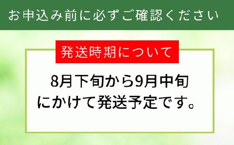 12-20  訳あり 梨 20世紀梨 5kg（10～18玉）サイズバラつき有り（L～5L）9/9が最終受付です