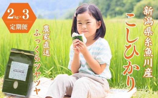 令和7年産【定期便】 新潟県産『コシヒカリ』2kg×3回 計6kg 毎月お届け 米・食味鑑定士お墨付き 農家自慢の逸品 NUKUMORI 特別栽培米 減農薬 糸魚川市 白米 2025年産 農家直送 百姓や伝六【こしひかり お米 コメ ご飯 ライス ふるさと納税米 ブランド米 人気 おすすめ 2キロ 新潟県 3か月 3ヶ月】