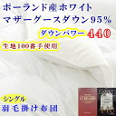 【ふるさと納税】 羽毛布団 シングル 羽毛掛け布団 100番手 【ポーランド産マザーグース95%】 羽毛ふとん 【ダウンパワー440】 寝具 冬用 羽毛布団 ふるさと納税 布団 掛け布団 シングル S ポーランド産 マザーグース 山梨県 富士河口湖町 送料無料 FAG178