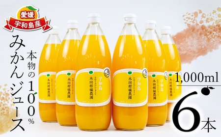 みかんジュース 本物の100％みかんジュース 1,000ml × 6本 木田柑橘農園 先行予約 南柑20号 温州みかん 温州蜜柑 みかん mikan ストレート オレンジ 果汁100％ ジュース 果汁 果物 くだもの フルーツ ギフト プレゼント 国産 愛媛 宇和島 H025-185002