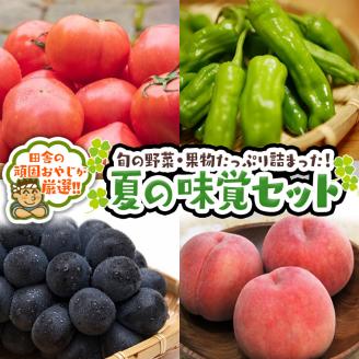 田舎の頑固おやじが厳選！夏の味覚（野菜・果物）厳選セット【令和3年8月から順次お届け】