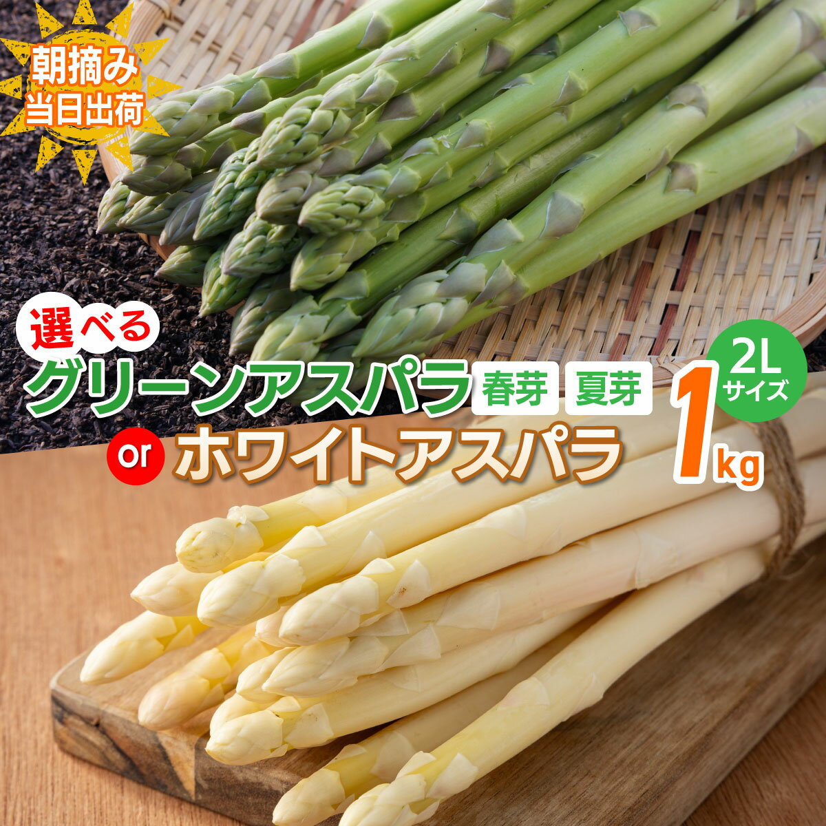 【ふるさと納税】数量限定 アスパラ・ホワイトアスパラ 2Lサイズ 1kg 選べる 春芽／夏芽　朝採り 朝採れ 直送 グリーンアスパラガス ホワイトアスパラガス アスパラ　BT02 BT06 BT02w BT-S0002