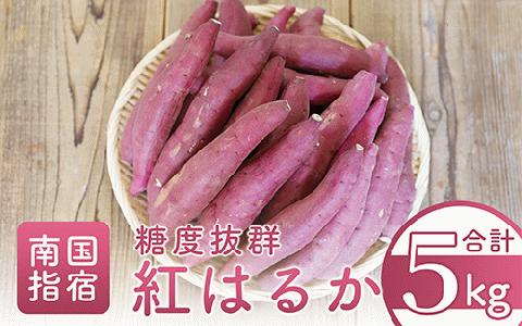 【2026年1月下旬頃～順次発送】糖度抜群 あま～い！紅はるか芋(土付き)約5kg(岡村商店/A-113)