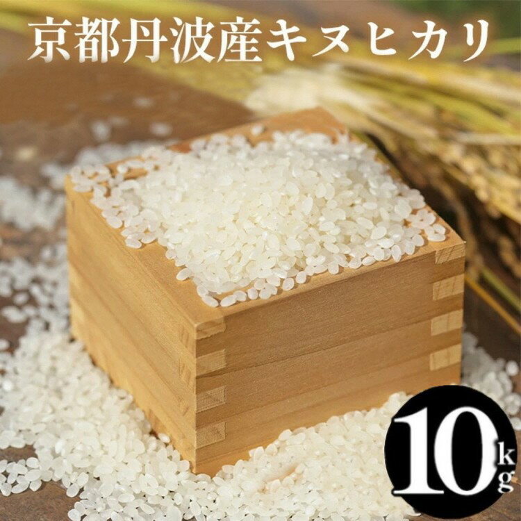 【ふるさと納税】【70th記念】年末感謝！令和7年産 米 京都丹波産キヌヒカリ 10kg(5kg×2袋) 選べる回数 1回 3回 6回 定期便 発送時期が選べる＜JA京都たわわ朝霧＞≪農協 白米 精米 産地直送 送料無料 簡易包装 生活応援 人気 国産 きぬひかり 3ヶ月 6ヶ月≫