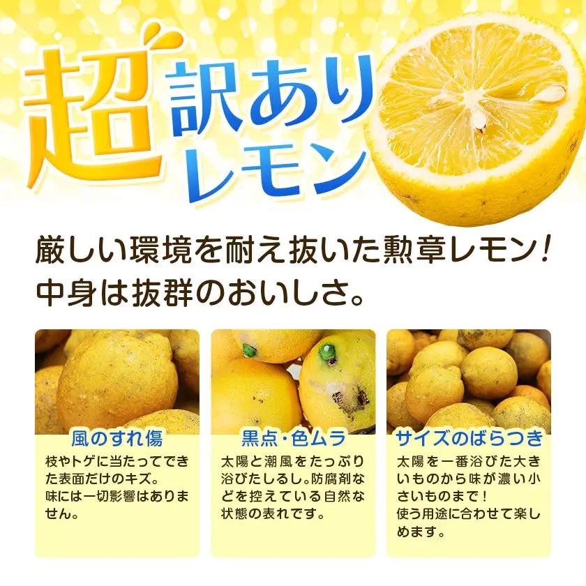 超訳ありレモン 約5kg レモン