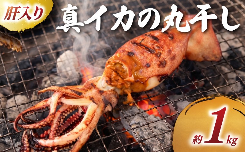 
                  訳あり 真イカ の 丸干し 約 1kg スルメイカ イカ 一夜干し 干物 天日干し わけあり 訳有 ゴロ干し 干し 肝入り 肝 海の幸 海 魚 ご飯のお供 おかず おつまみ おすすめ おいしい 贈答 ギフト プレゼント 贈答 記念日 お祝い 送料無料 ふるさと納税 飯岡ヤマイチ水産-大納屋- 千葉県 旭市  iys035
                