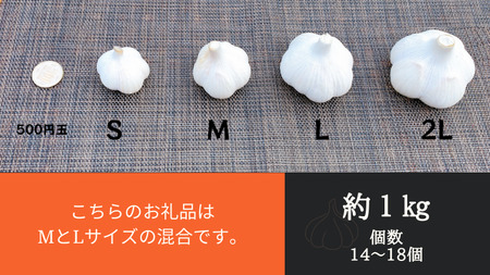 【農家直送】田子町産にんにく M＆L size『約1kg』