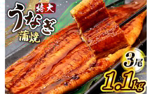 二の丑 うなぎ 蒲焼 約 1.1kg 3尾 タレ・山椒付 茶葉蒸し [大黒物産 福岡県 宇美町 um40bak830006]鰻 ウナギ 小分け うなぎ蒲焼 鰻蒲焼き 訳あり 蒲焼き かば焼き 茶葉蒸しうなぎ 真空パック 個包装 冷凍 unagi