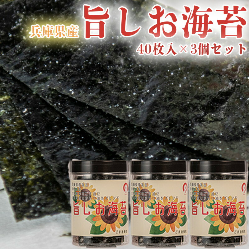 【ふるさと納税】兵庫県産旨しお海苔 40枚入×3個セット