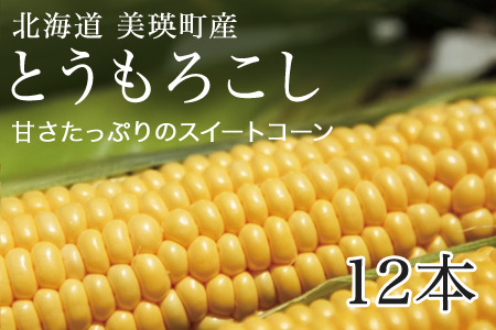 とうもろこし 12本 先行予約 とうもろこし