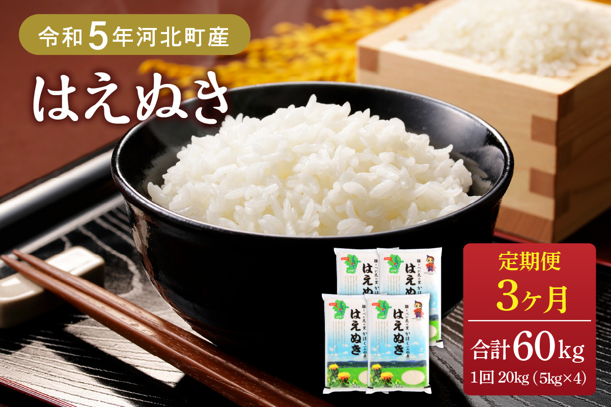 
【令和5年産米】※選べる配送時期※ はえぬき60kg（20kg×3ヶ月）定期便 山形県産【JAさがえ西村山】
