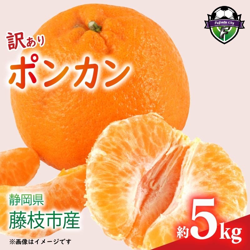 
                  【先行予約】2027年1月下旬より発送 訳あり みかん 5kg （M～2Lサイズ） ポンカン ミカン 果物 国産 フルーツ 柑橘 数量限定 静岡県産 蜜柑 大小 ミックス 不揃い ビタミン 美味しい 静岡県 藤枝市 ponkan mandarin orange 国産 家庭用 お取り寄せ FG320-3930
                