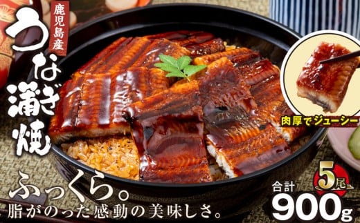 2448 鹿児島産うなぎ 合計900g（180g×5尾）　KN021-015-05