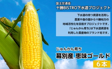 とうもろこし 恵味ゴールド 6本「じゅんかん育ち」【十勝BISTRO下水道プロジェクト】北海道 十勝 幕別町 野菜 