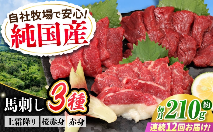 
                  【全12回定期便】『純国産』熊本の味 馬刺し お試し 3種 セット 計約210g（2〜3人前）/ 熊本 馬刺し ばさし バサシ 馬さし 馬肉 赤身 霜降り ヘルシー 冷凍 【有限会社 九州食肉産業】 [AYCN072]
                