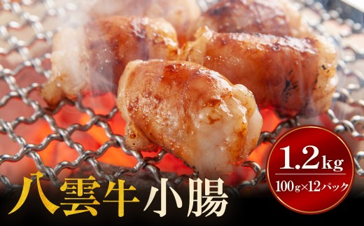 【北海道情報雑誌で紹介！】八雲牛 小腸 合計1.2kg (100ｇ×12パック) ※沖縄・離島への配送不可