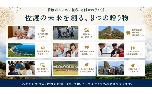 【日本酒 6本セット】佐渡の酒 晩酌の友セット 1800ml×6本 佐渡島 晩酌酒 北雪・真稜・金鶴 1800ml×6本 | 新潟の地酒 佐渡の地酒 佐渡日本酒 普通酒 本醸造 清酒 地酒 日本酒 お