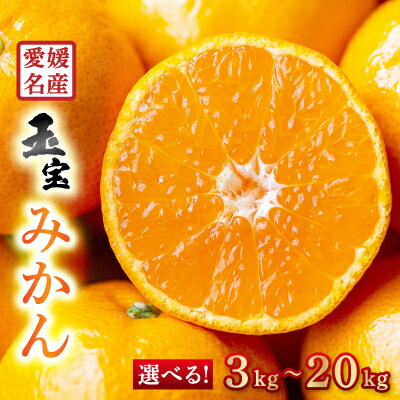 【ふるさと納税】【愛媛名産】玉宝みかん(3kg/5kg/10kg/20kg)_ みかん 愛媛 ミカン 蜜柑 愛媛県 愛媛みかん 柑橘 果実 果物 くだもの フルーツ ふるーつ デザート 人気 ジューシー おいしい 国産 八幡浜市 産地直送 産直 送料無料 【G1340879】