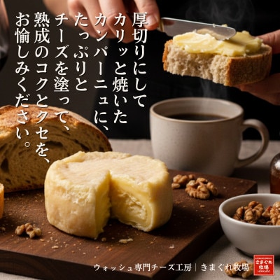 北海道産生乳100%|多数メディア紹介 大人の贅沢ウォッシュチーズ食べ比べ2種|きまぐれ牧場【配送不可地域：離島】【1712444】