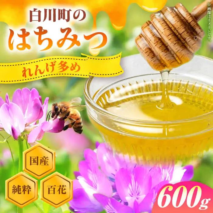 国産百花はちみつ 600g / 白川町農業開発[AWAH007] はちみつ
