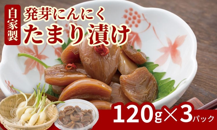 
                  発芽ニンニクのたまり漬け（3パック）臭いが気にならない にんにく
                